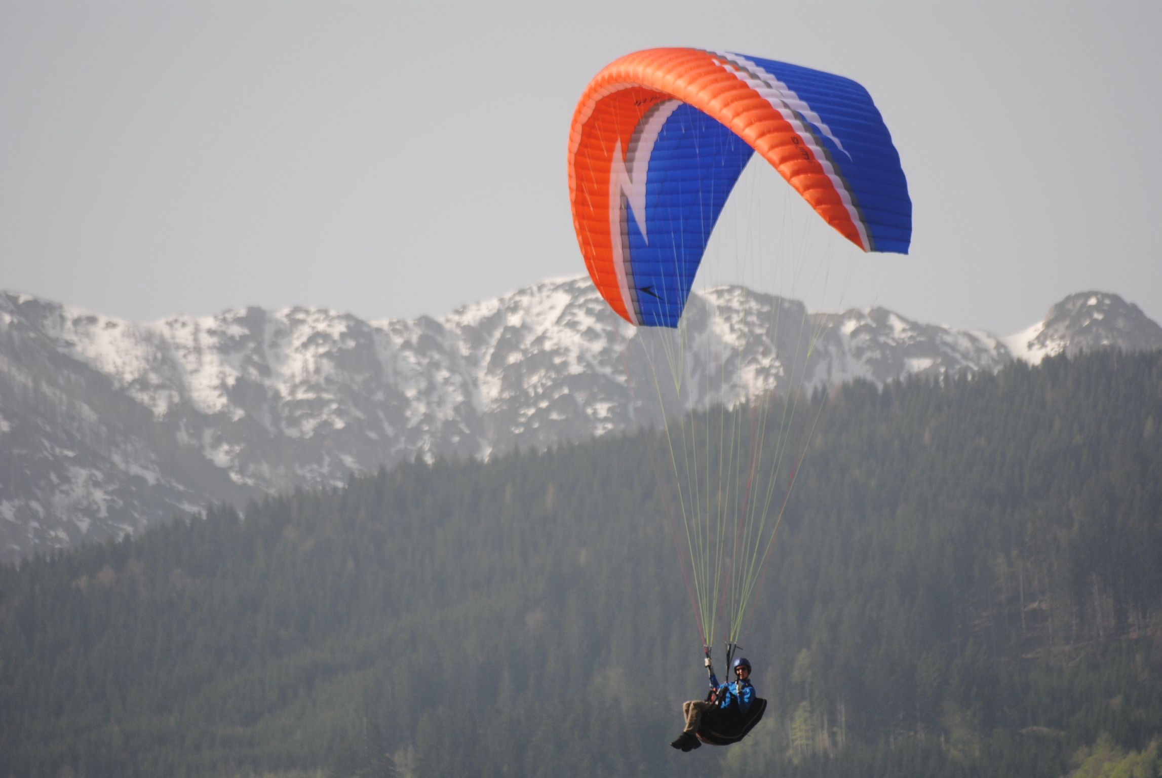Swing Arcus 7